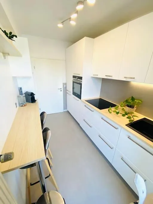 Lägenhet Large 1 Bedroom In Center With Parking - 64 Luxemburg